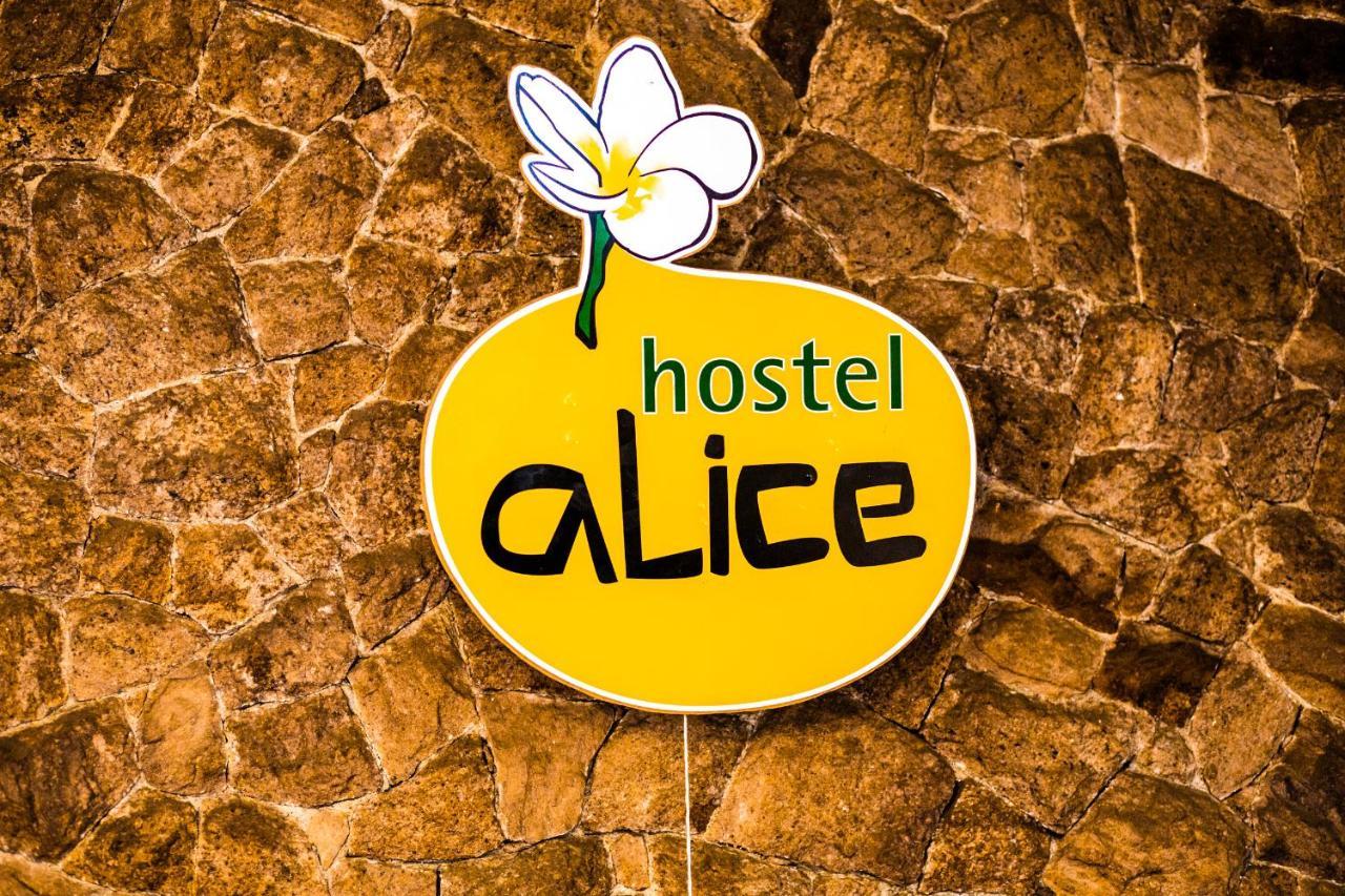 Hostel Alice E Padoca Vegan 상파울루 외부 사진